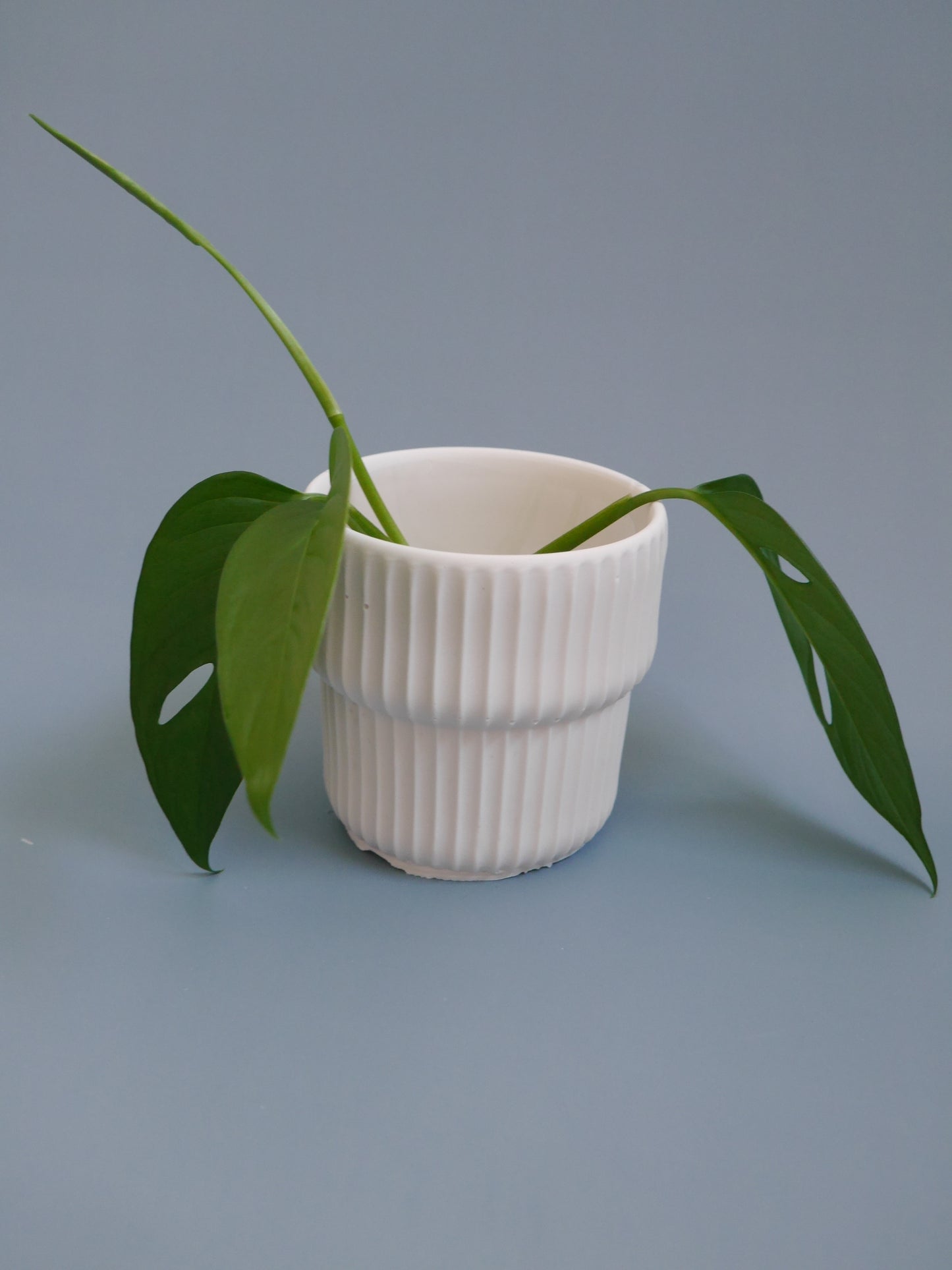 2-Way Plant Pot – Mini, Carved Groove Pattern