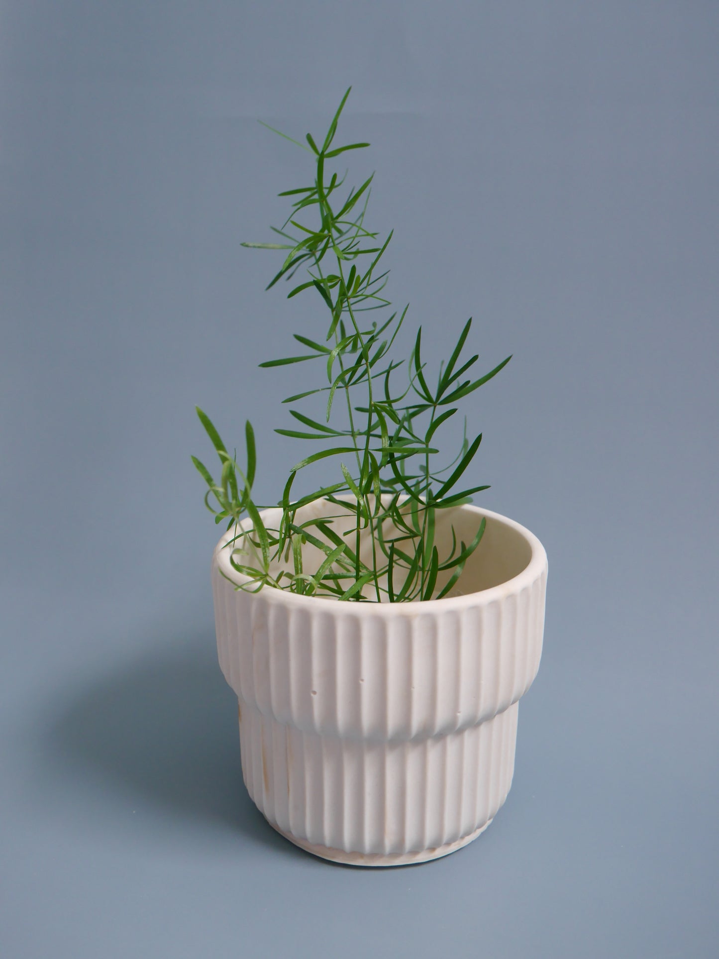 2-Way Plant Pot – M, Carved Groove Pattern