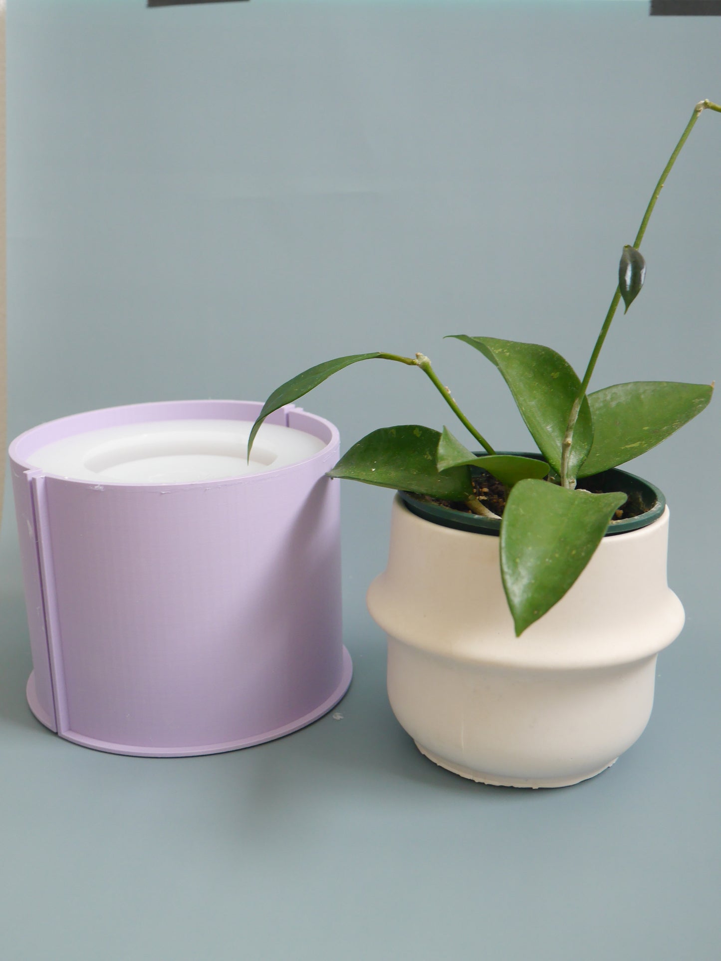 2wayプラントポット 大 シンプルリングデザイン