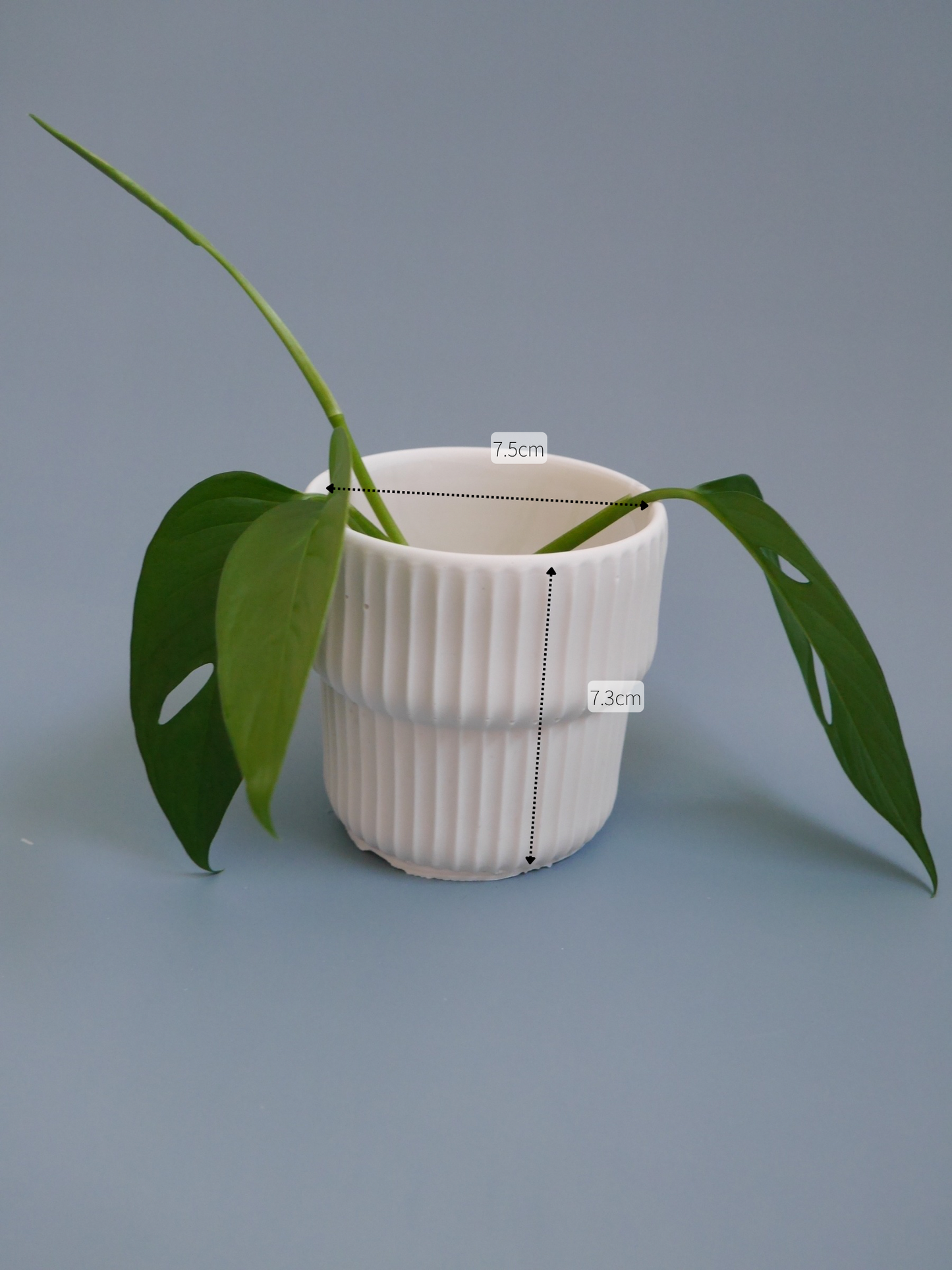 2-Way Plant Pot – Mini, Carved Groove Pattern