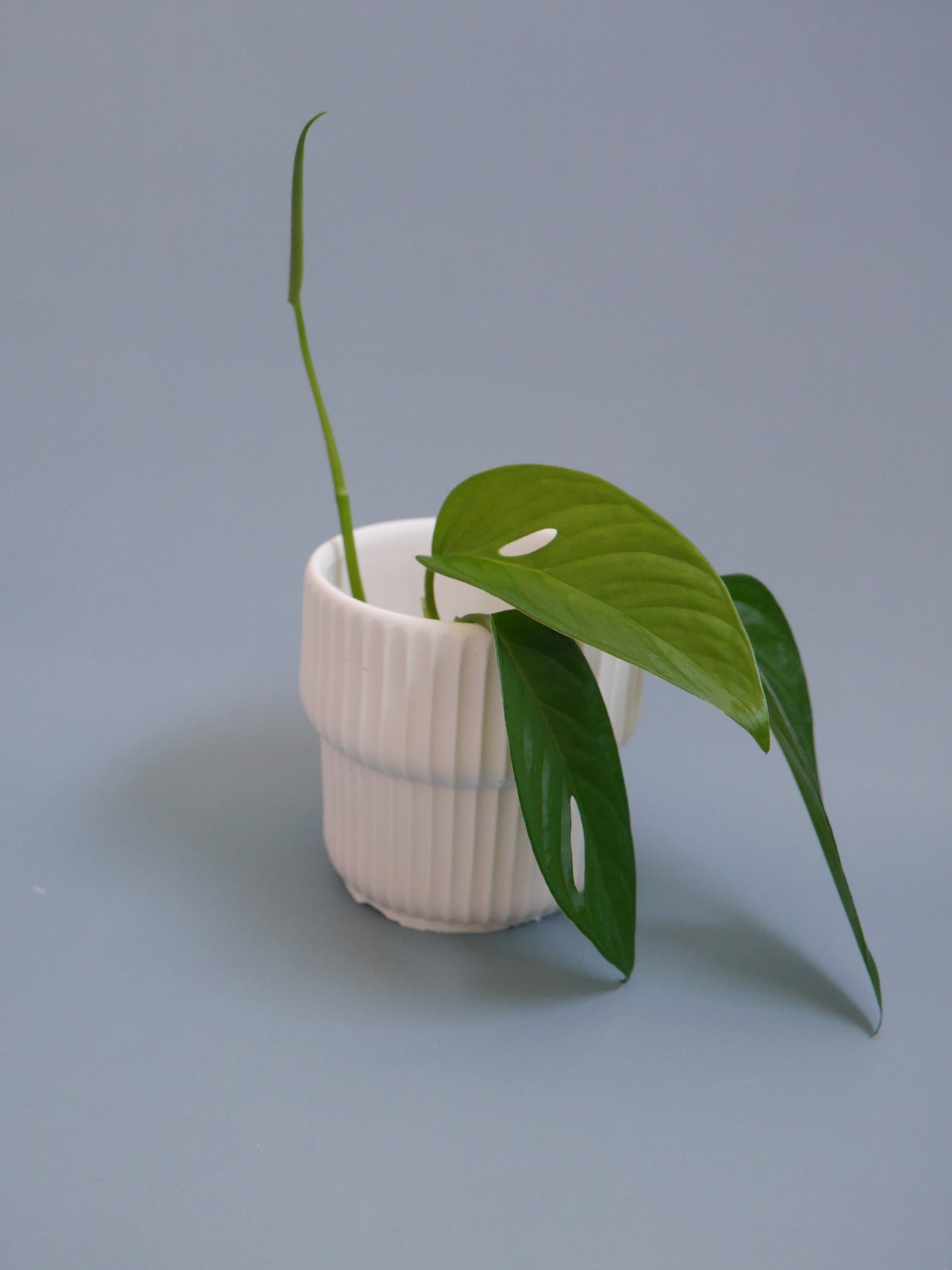 2-Way Plant Pot – Mini, Carved Groove Pattern