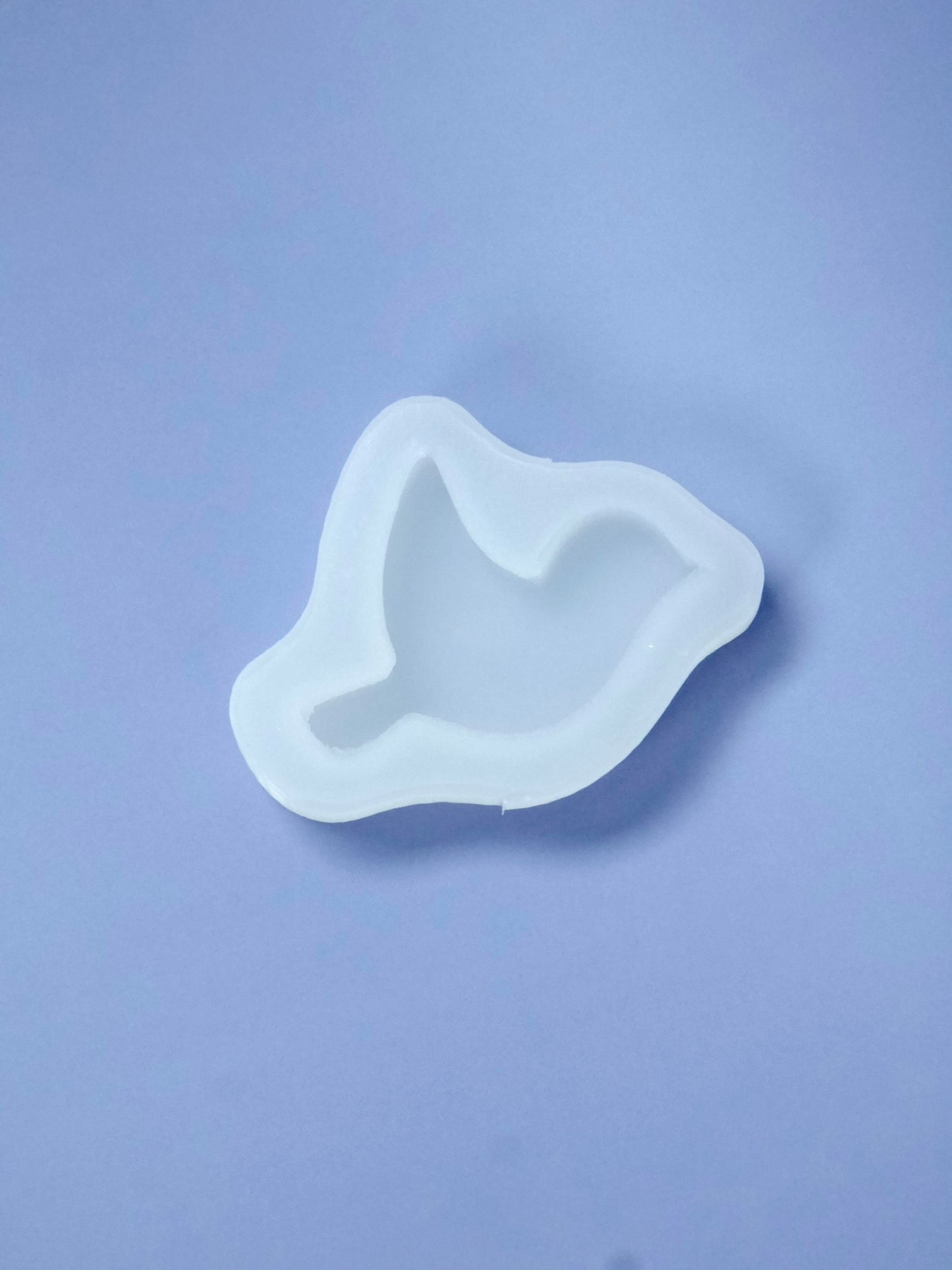 Tori Magnet Mold